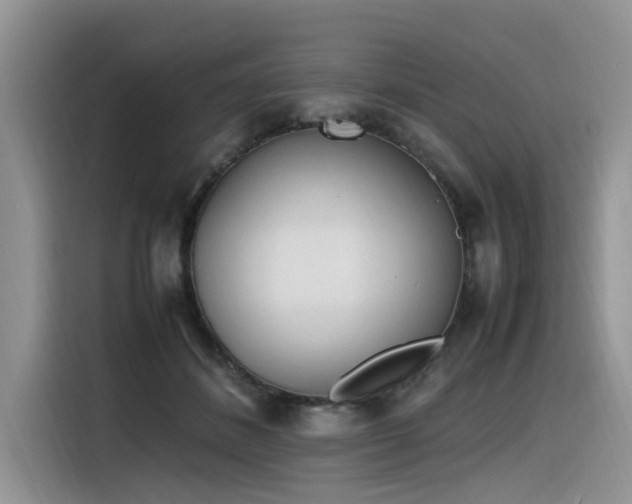 X0000116330508200912011135