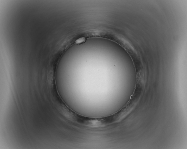 X0000116330509200912011135