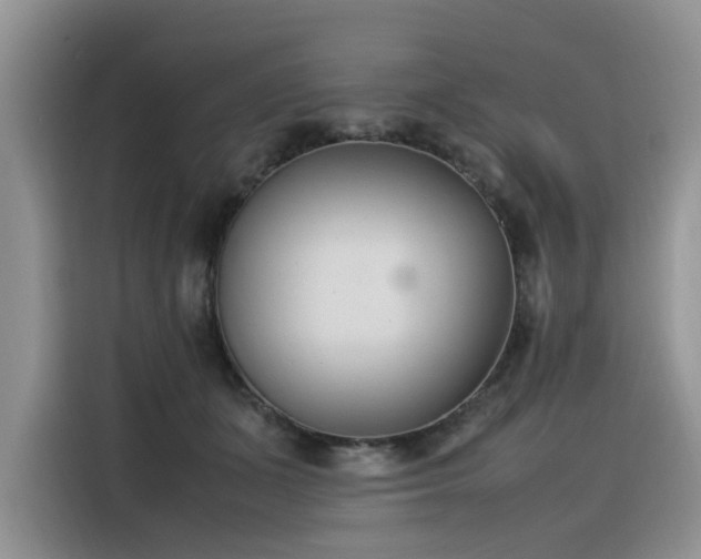 X0000116330511200912011135