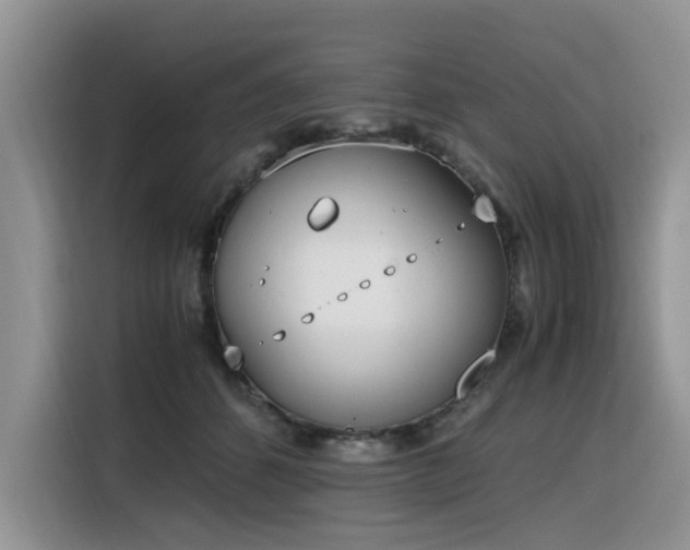 X0000116330512200912011135