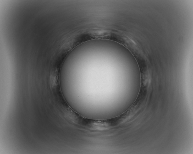 X0000116330515200912011135