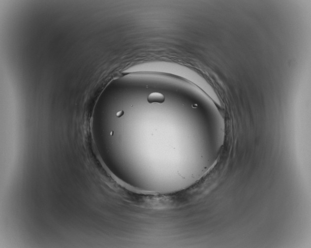 X0000116330517200912011135