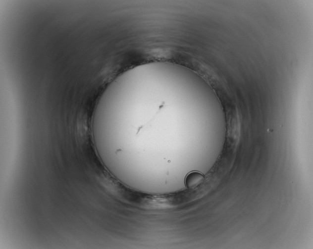 X0000116330518200912011135