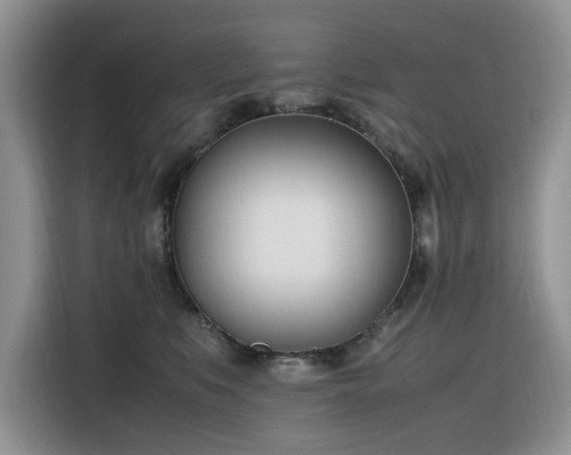 X0000116330519200912011135
