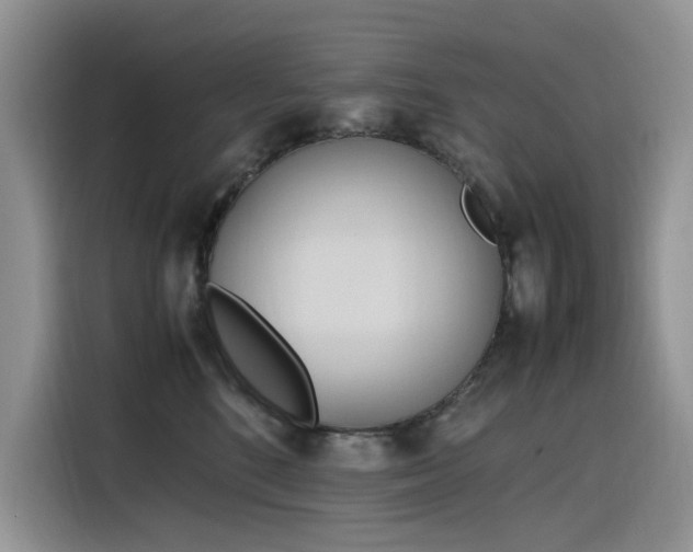 X0000116330520200912011135