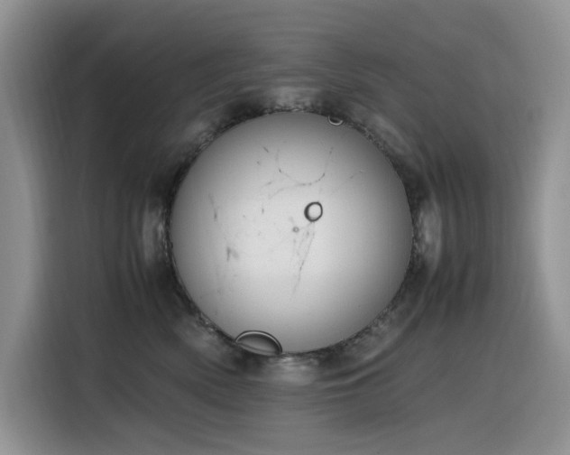 X0000116330522200912011135