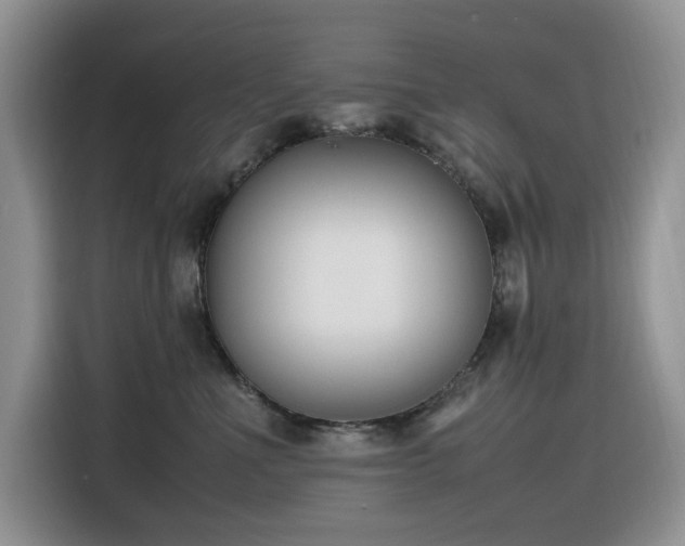 X0000116330523200912011135