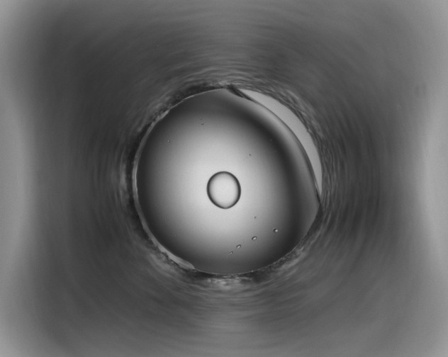 X0000116330524200912011135