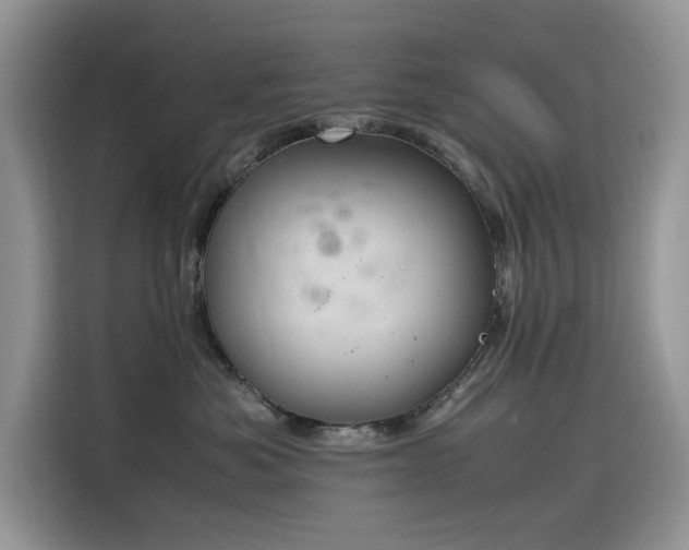 X0000116330525200912011135