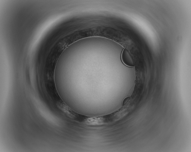 X0000116330526200912011135