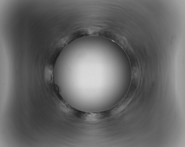 X0000116330527200912011135