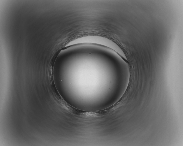 X0000116330528200912011135