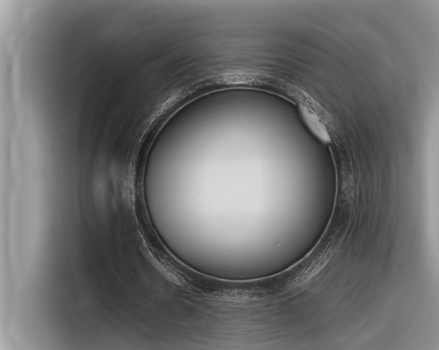 X0000116330530200912011134