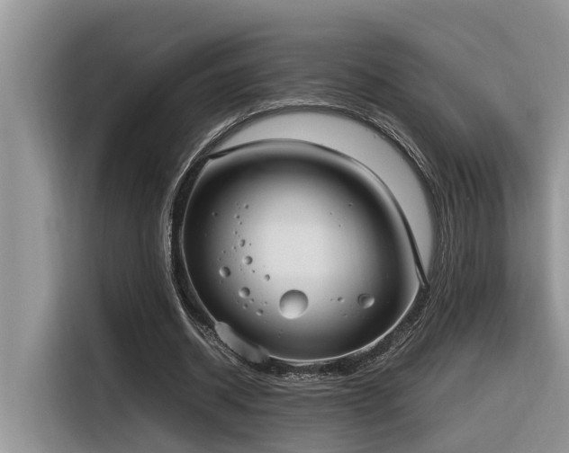 X0000116330534200912011134