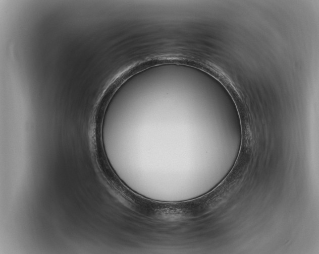 X0000116330535200912011134