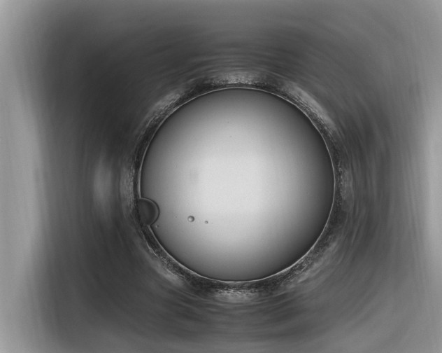 X0000116330537200912011134