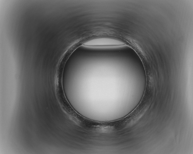 X0000116330539200912011134