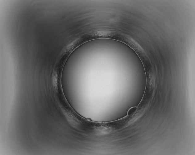 X0000116330542200912011134