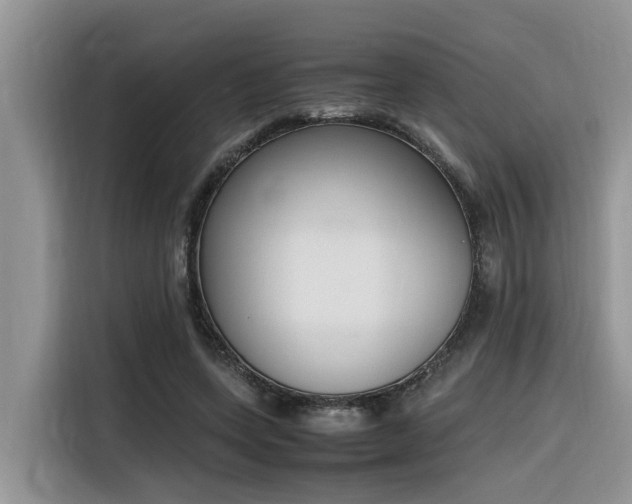 X0000116330543200912011134