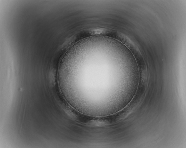 X0000116330545200912011134