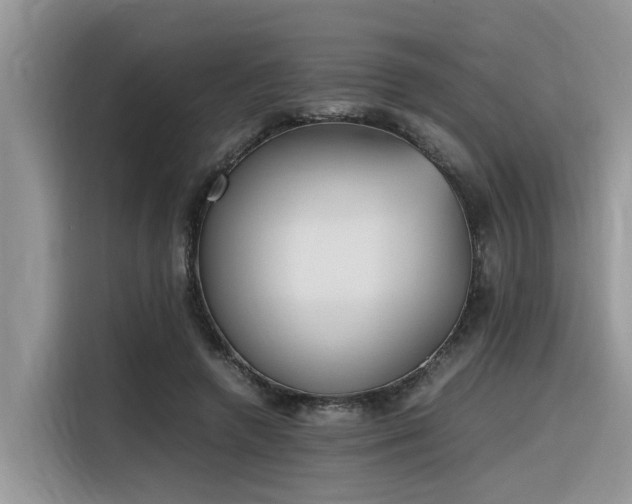 X0000116330546200912011134