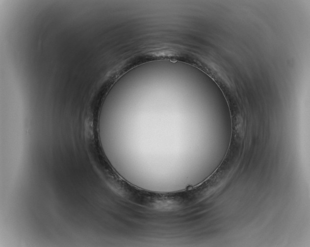 X0000116330547200912011134