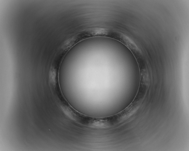 X0000116330550200912011134