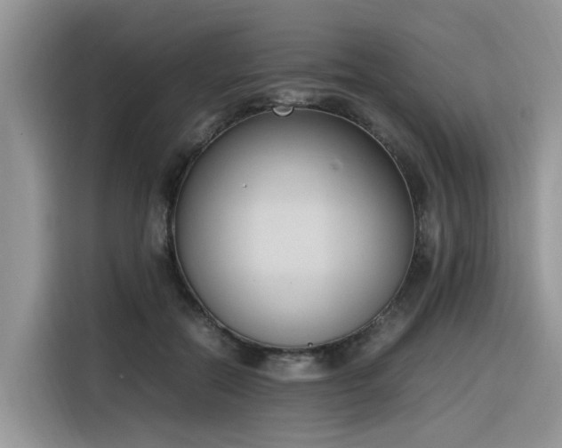 X0000116330554200912011134