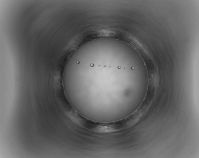 X0000116330557200912011135