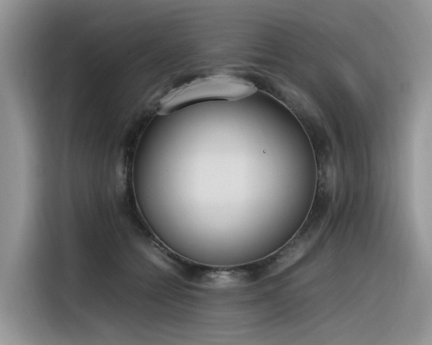X0000116330558200912011135