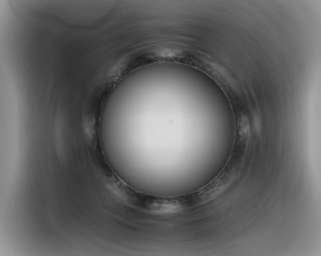 X0000116330559200912011135