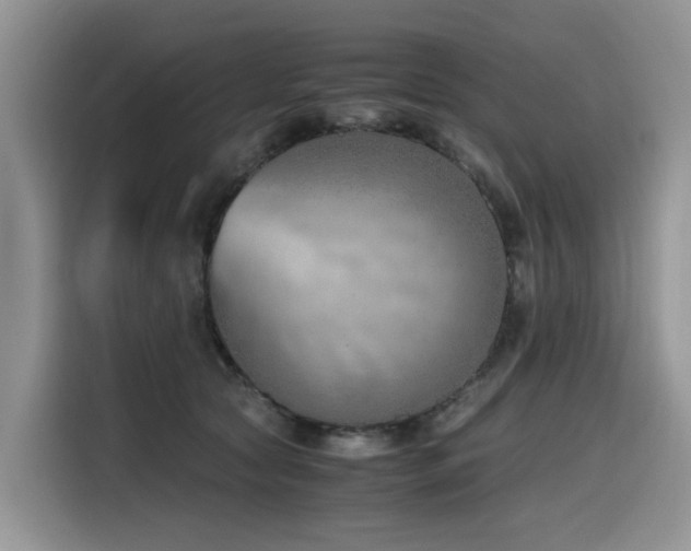 X0000116330561200912011135