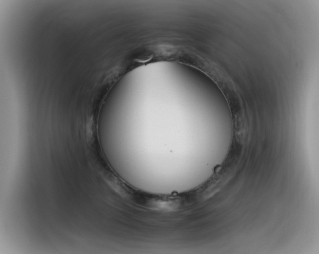 X0000116330563200912011135
