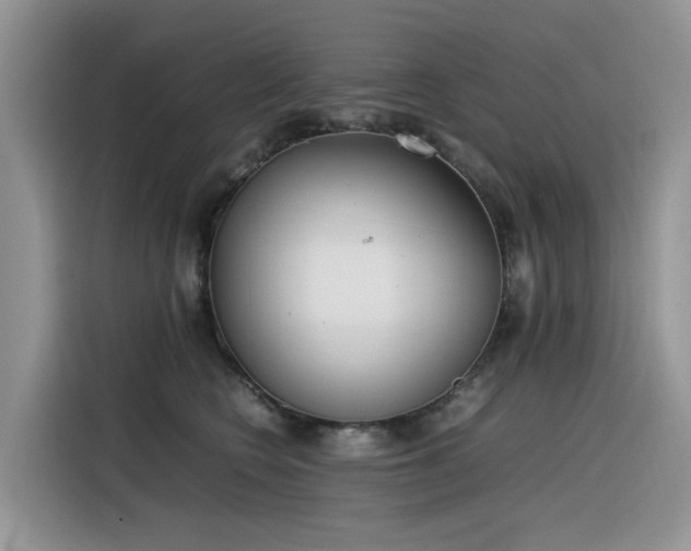 X0000116330566200912011135