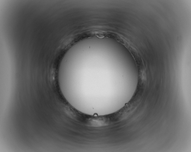 X0000116330567200912011135