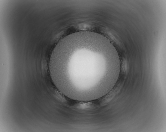 X0000116330569200912011135