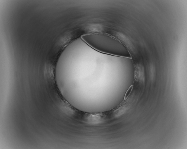 X0000116330573200912011135