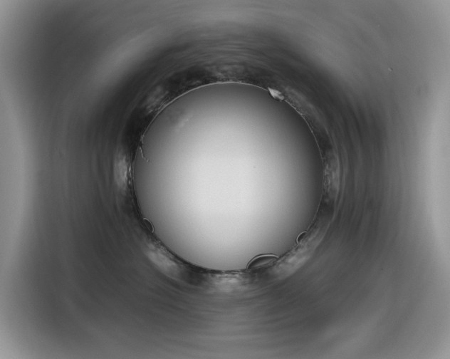 X0000116330574200912011135