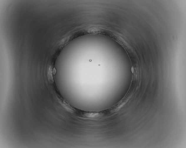 X0000116330575200912011135