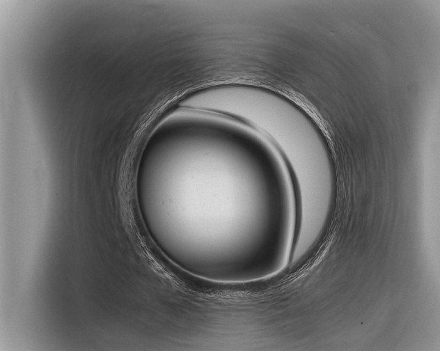 X0000116330577200912011134