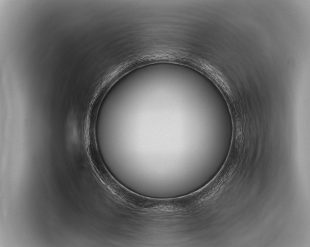 X0000116330578200912011134