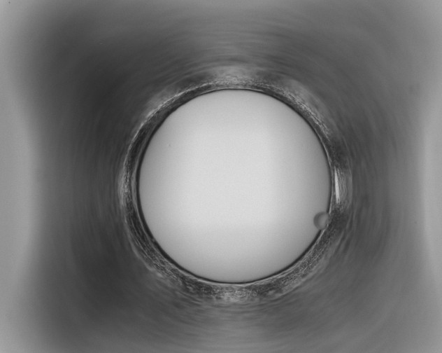 X0000116330579200912011134