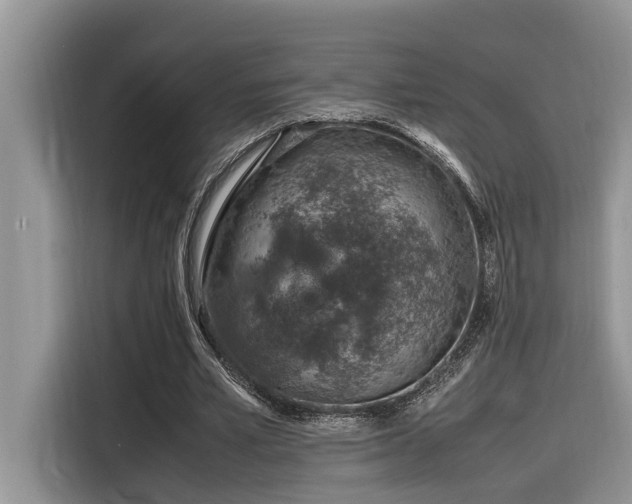 X0000116330581200912011134
