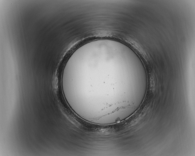 X0000116330584200912011134