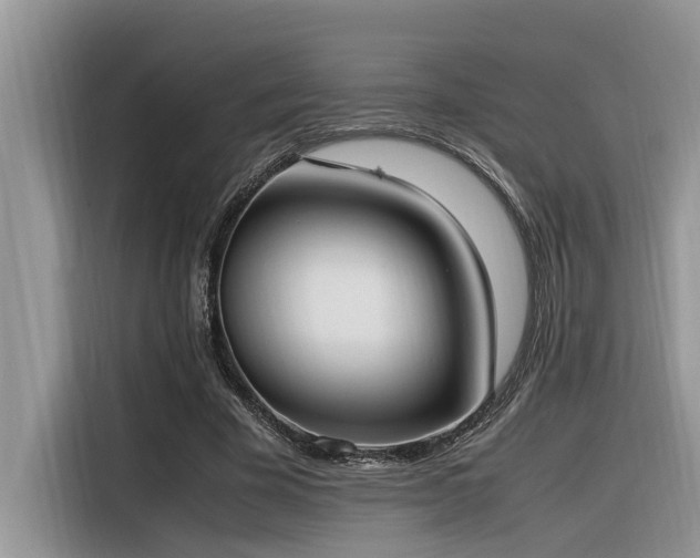 X0000116330585200912011134