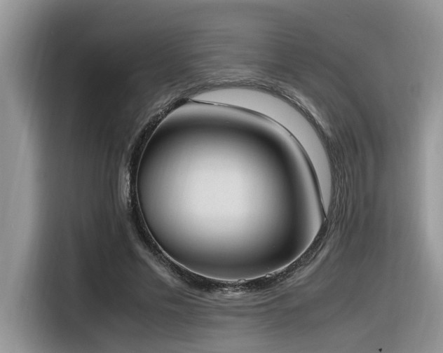 X0000116330589200912011134
