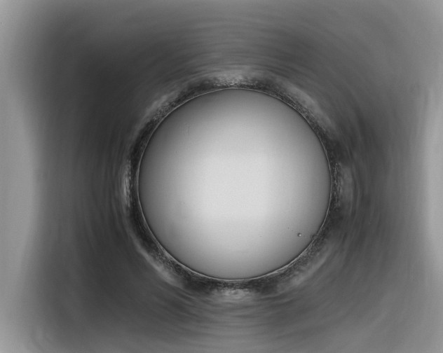 X0000116330590200912011134