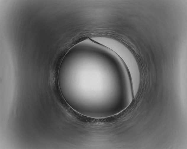 X0000116330593200912011134