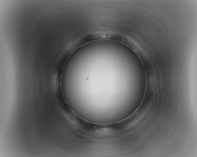 X0000116330594200912011134