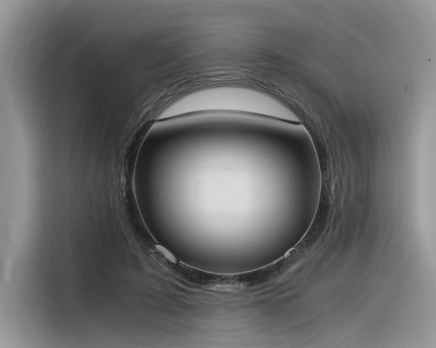 X0000116330595200912011134